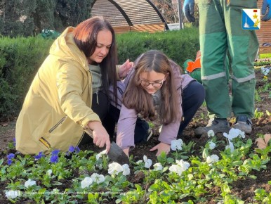 В сквере Юрия Гагарина создали цветочные ковры по эскизам детей-победителей конкурса «Рисуй цветами»