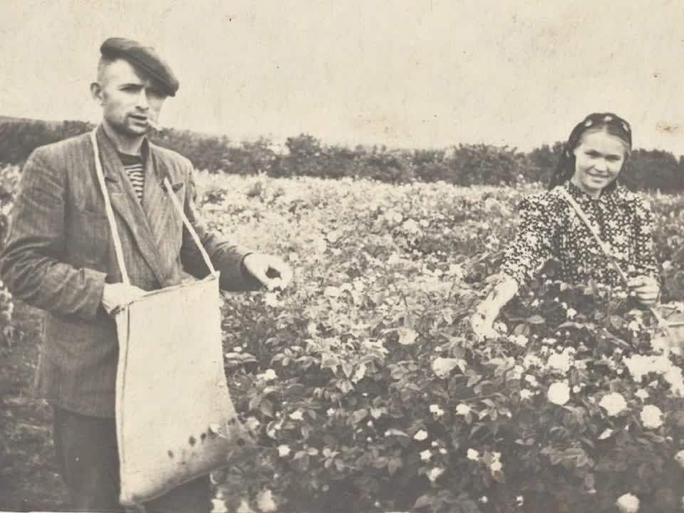 � ������ �������� �������� �������������� � ����, ��� ����, ������ � ����������� ���� ��������� ��������� ������� �� ���������� �����������