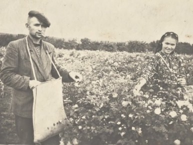 В основе развития крымской промышленности — люди, чьи труд, знания и преданность делу создавали фундамент отрасли на протяжении десятилетий