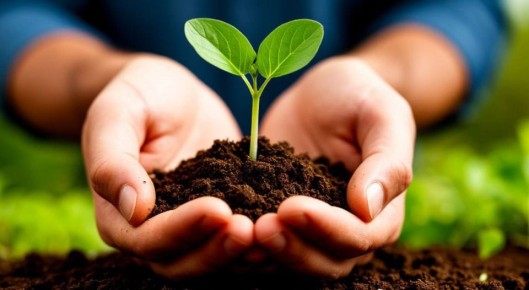 1 декабря в Крыму стартует конкурс «Ярмарка экологических проектов»