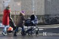 С начала года в Крыму выдали более 7 тысяч сертификатов на маткапитал