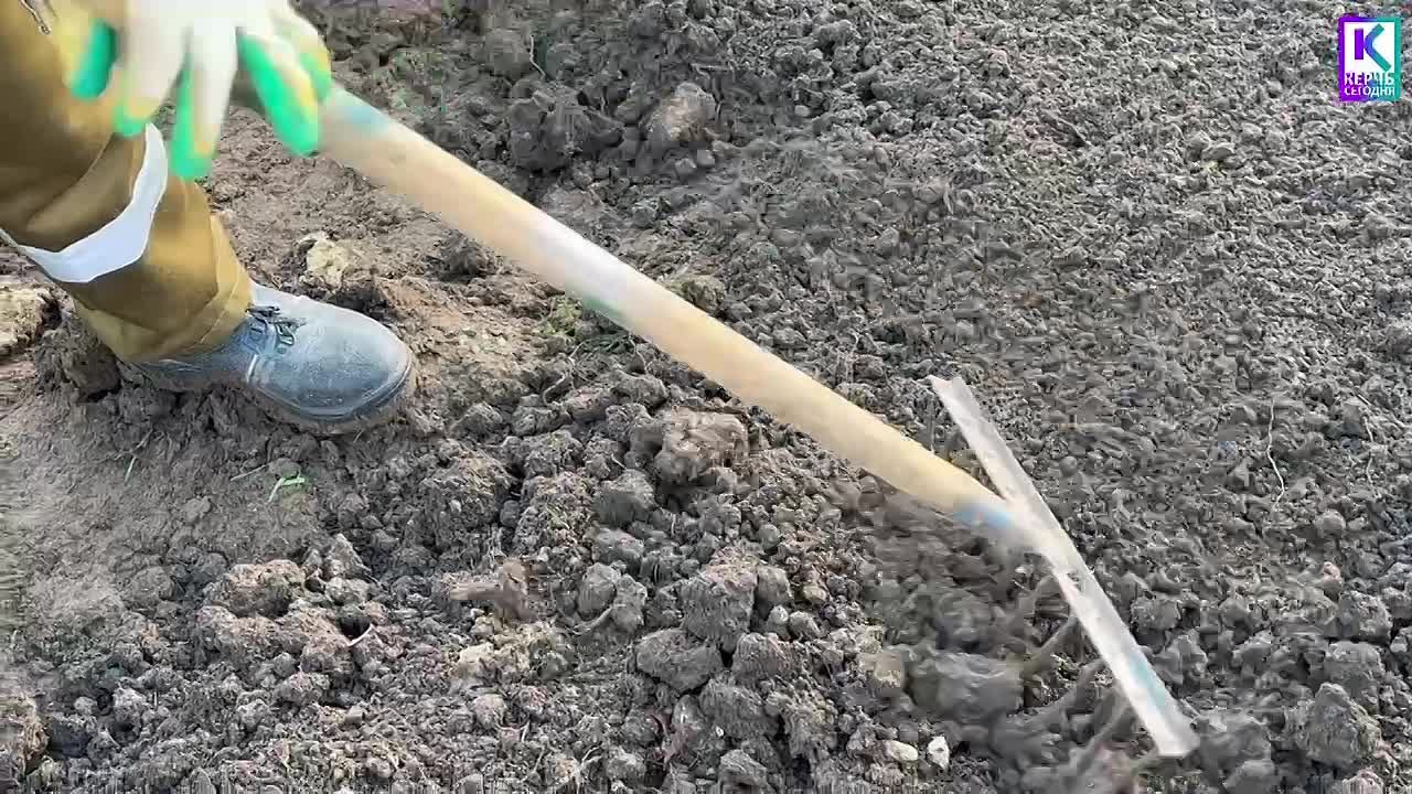 В Керчи продолжается регулярная работа по обработке зеленых насаждений