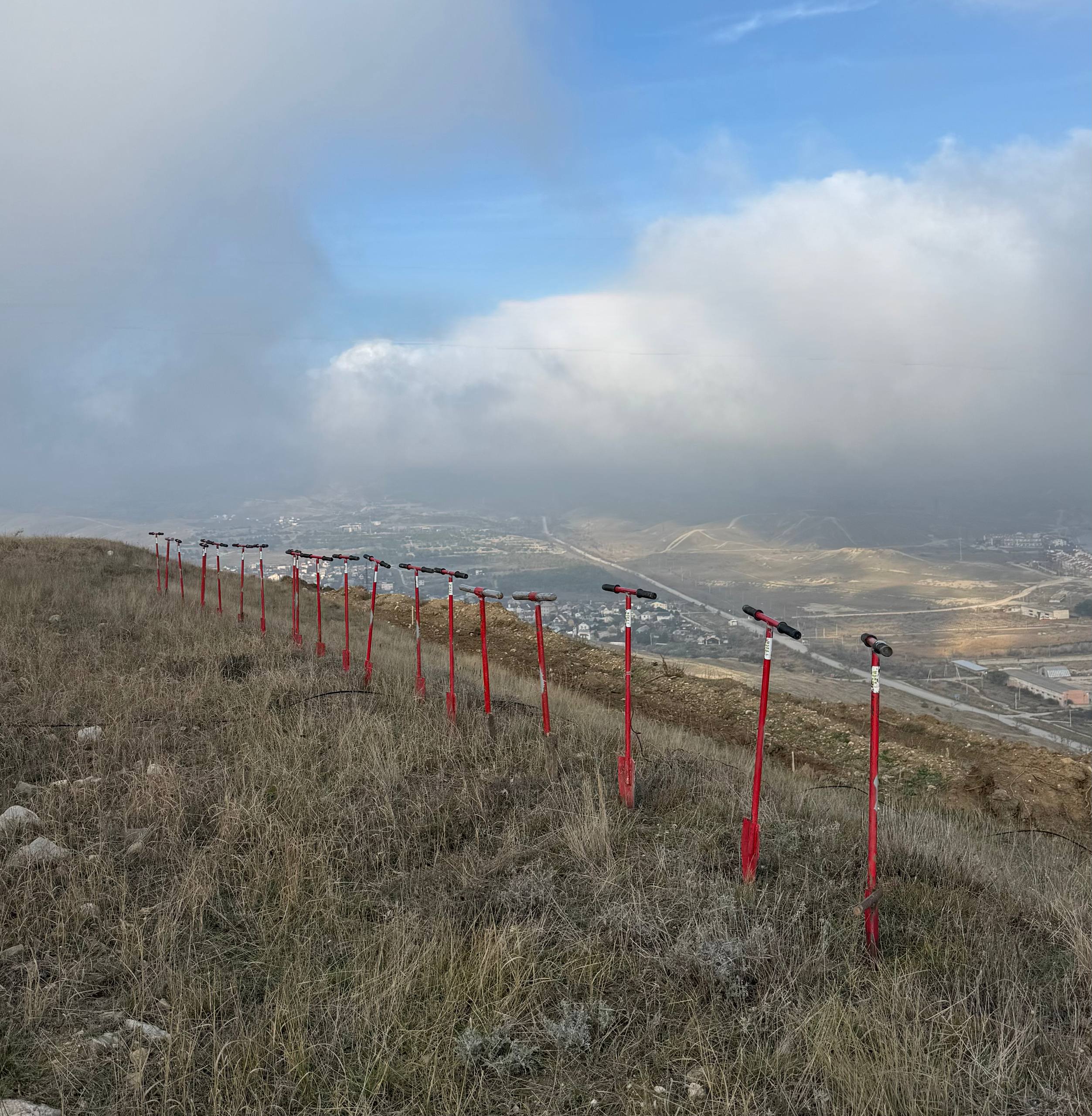 Вблизи пгт Орджоникидзе состоялось центральное мероприятие Всероссийской акции «Сохраним лес» Вблизи пгт Орджоникидзе состоялось центральное мероприятие Всероссийской акции «Сохраним лес»
