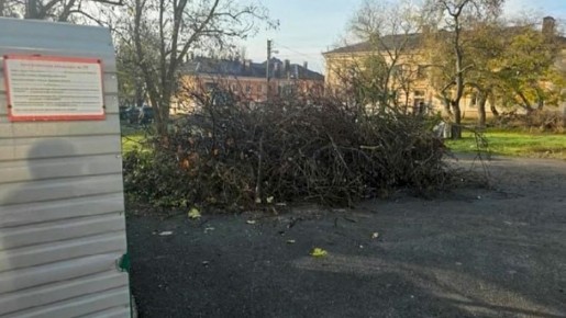 Чиновников шести крымских городов привлекут к ответственности за плохую уборку