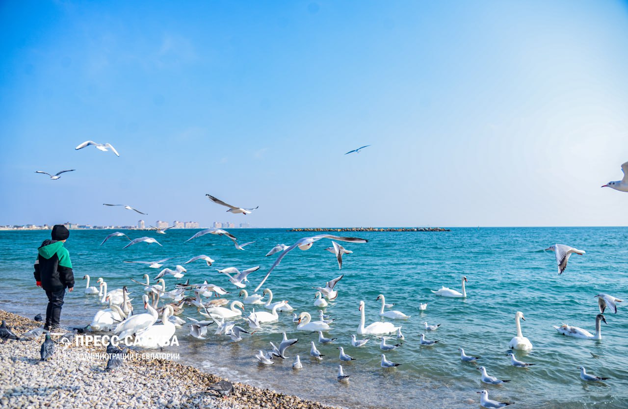 С 20 по 26 ноября первые в жизни документы были выданы 16 новорожденным