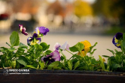 Доброе утро, Евпатория!. Температура воздуха поднимется сегодня до +16°С