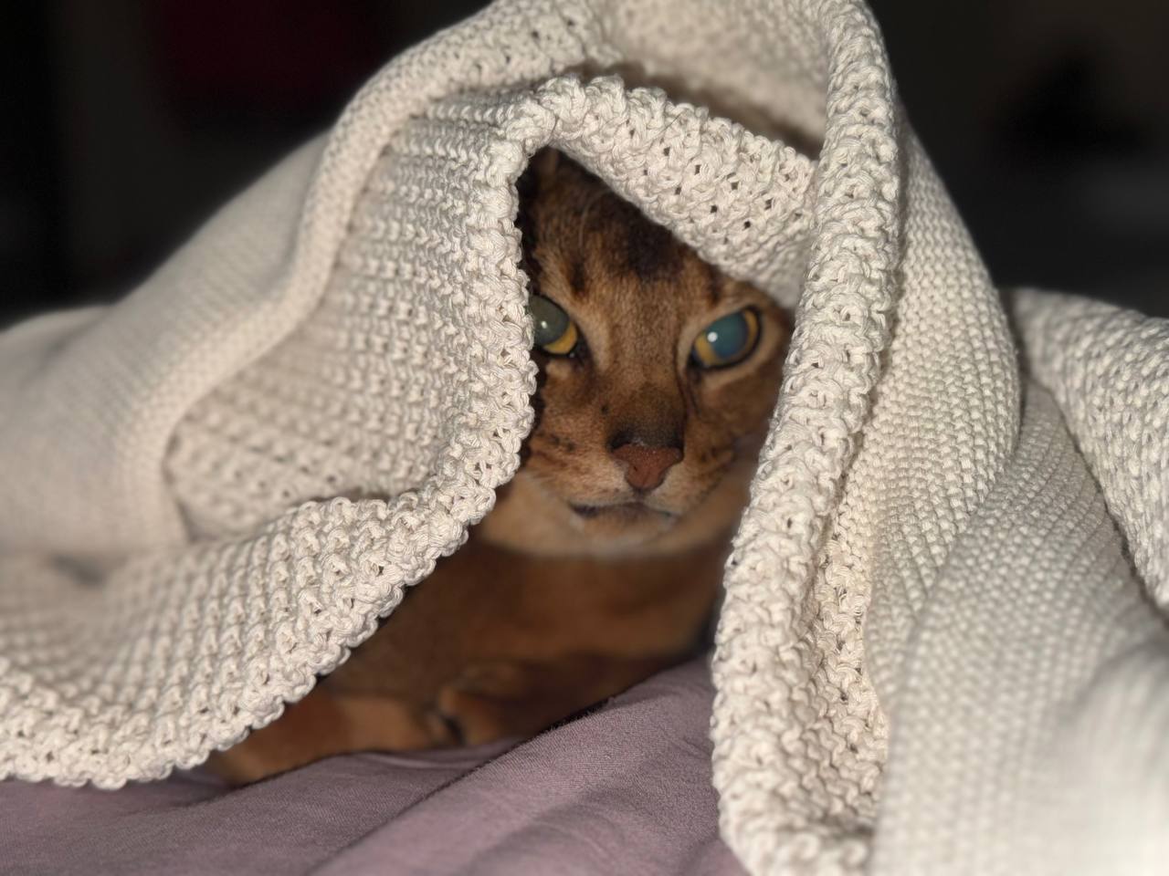 Тёплая суббота и прохладное воскресенье: прогноз погоды в Крыму на выходные