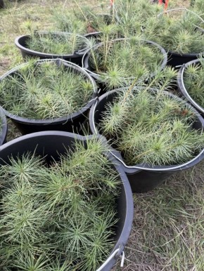  :  2025           ,     2019 