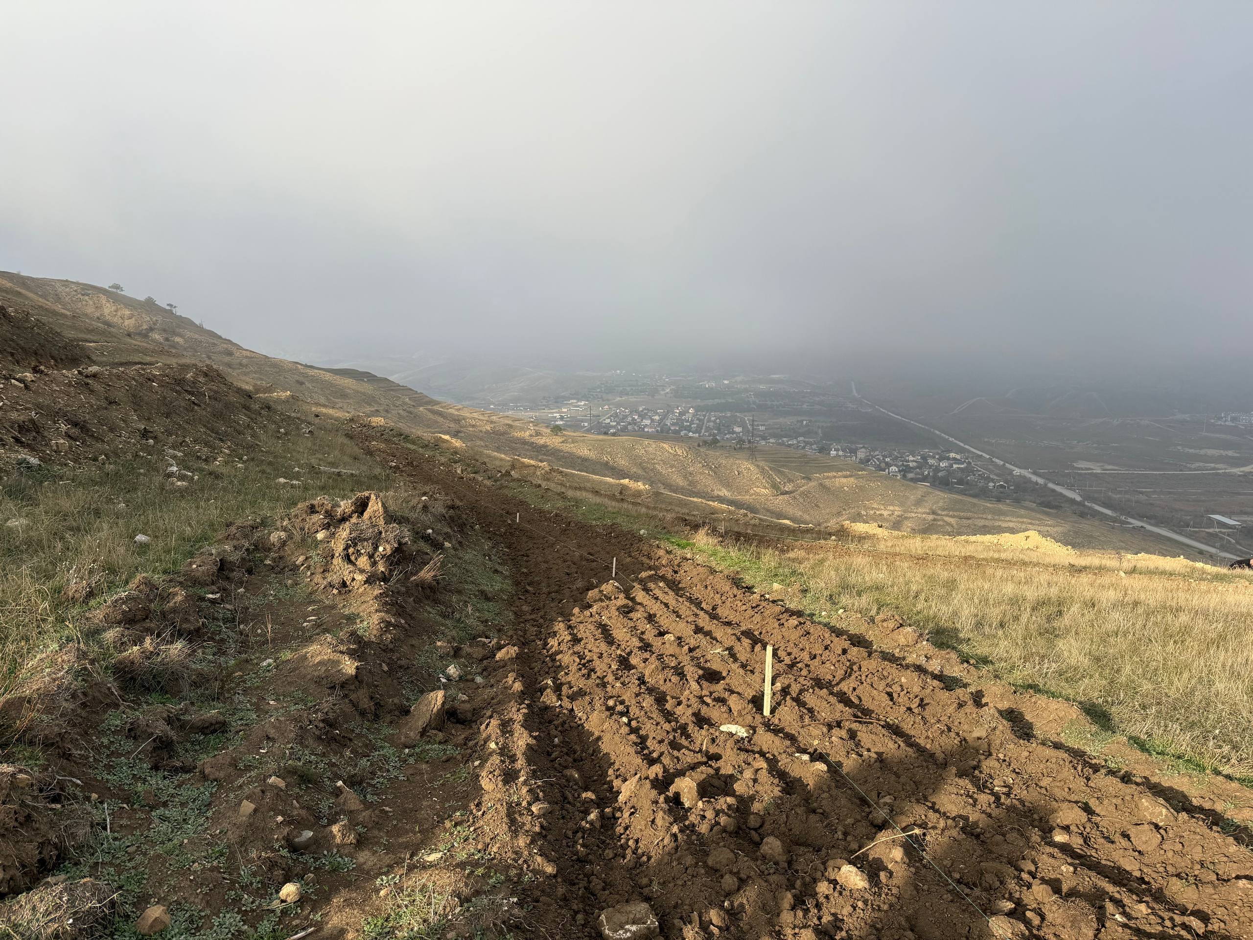 Вблизи пгт Орджоникидзе состоялось центральное мероприятие Всероссийской акции «Сохраним лес» Вблизи пгт Орджоникидзе состоялось центральное мероприятие Всероссийской акции «Сохраним лес»