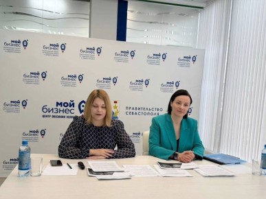 Мария Литовко: Вместе с ИО начальника Управления туризма города Севастополя Марией Ветлицкой провели вебинар, посвященный вопросам легализации деятельности гостевых домов