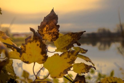 Дмитрий Чумаков: С добрым утром, уважаемые жители Белогорского района!