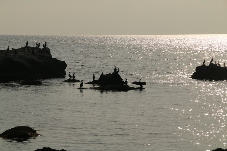 Зима отменяется? Почему ноябрь в Крыму бьет тепловые рекорды и когда ждать холодов Зима отменяется? Почему ноябрь в Крыму бьет тепловые рекорды и когда ждать холодов