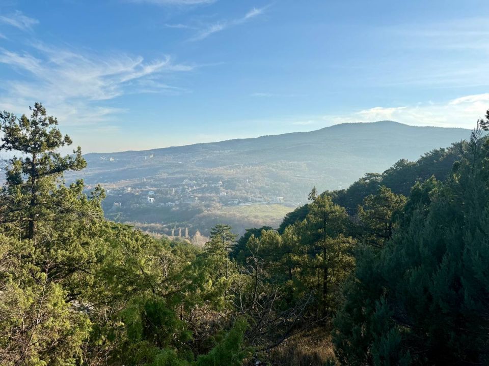 Олег Царёв: В Ялте лето