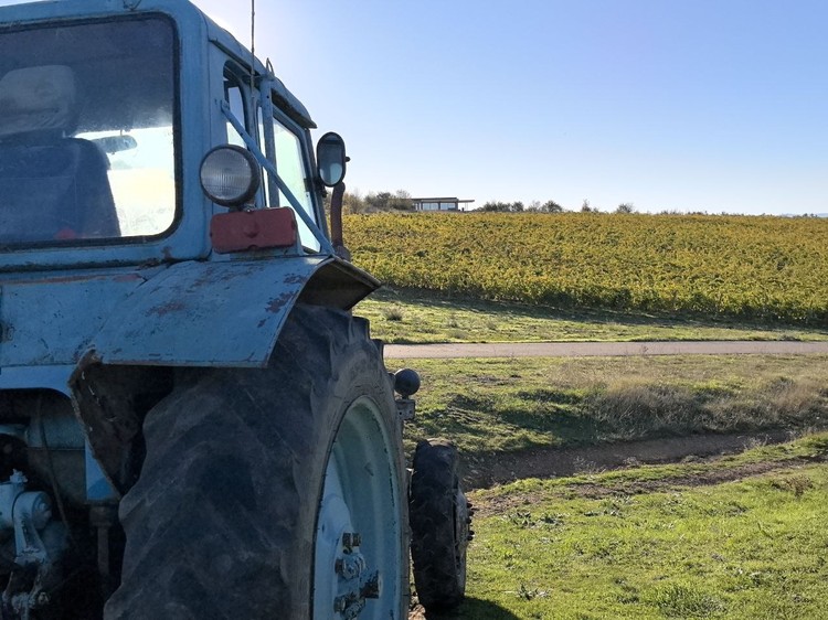 Зима отменяется? Почему ноябрь в Крыму бьет тепловые рекорды и когда ждать холодов Зима отменяется? Почему ноябрь в Крыму бьет тепловые рекорды и когда ждать холодов