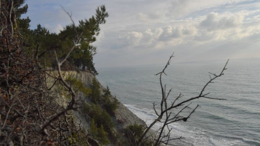 Бастрыкин запросил отчет о расследовании причин гибели студента в Крыму