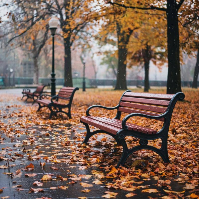 ����� ������ ��� ������� � ������ ����� 30 ������