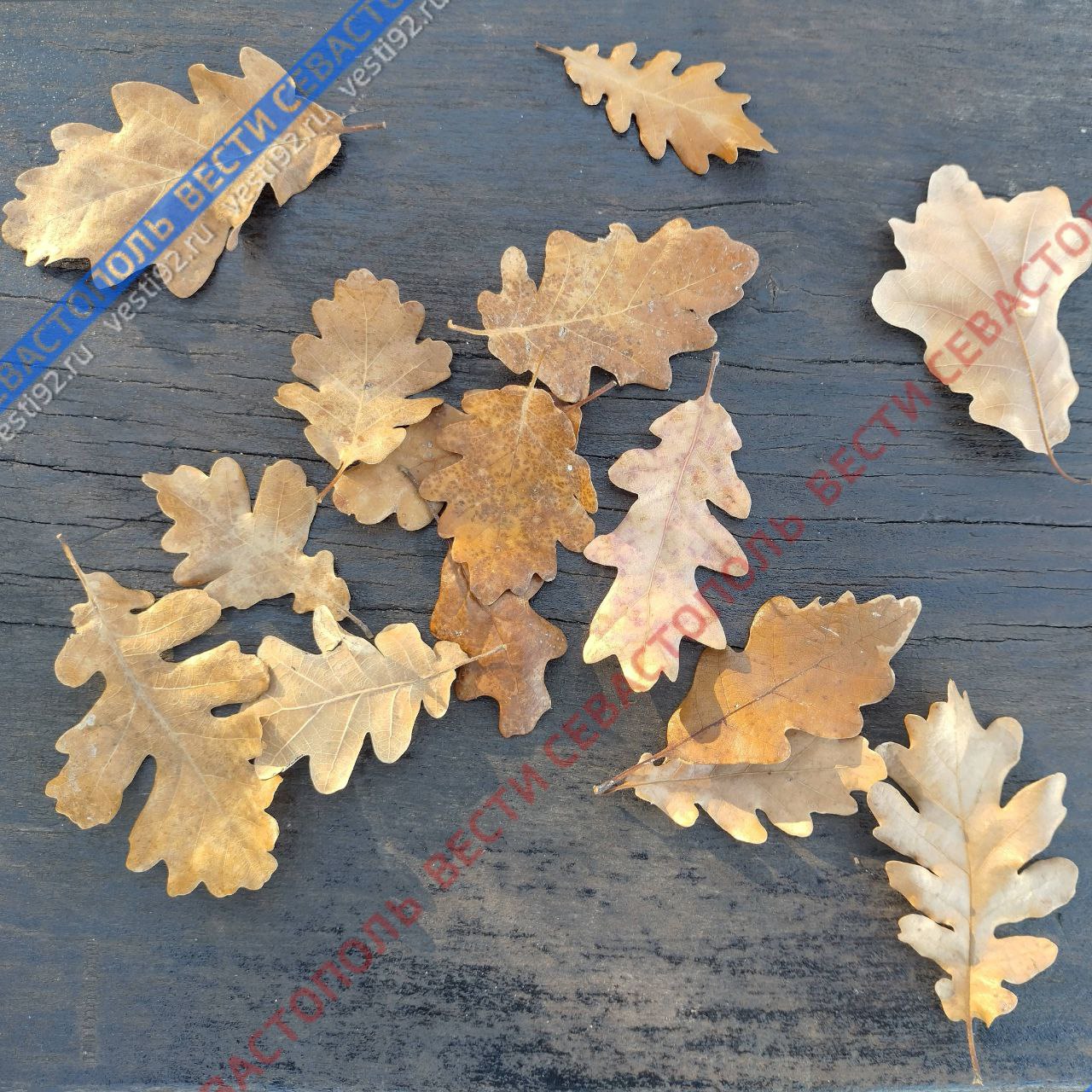 Вместе с приходом календарной зимы на полуострове станет ощутимо прохладнее