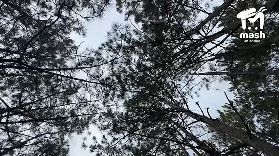 Продолжаем покорять горы полуострова с ребятами, которые знают о них всё