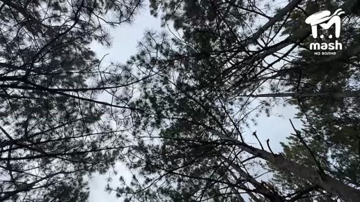 Продолжаем покорять горы полуострова с ребятами, которые знают о них всё