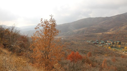   30  2025     :    18 