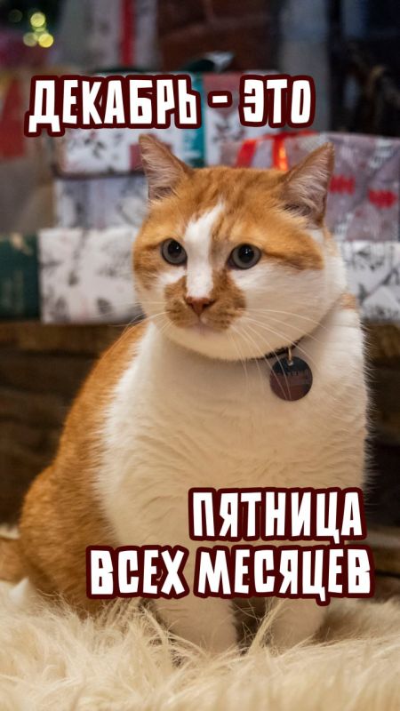 ��� ������: �������� ��������� �������� ����