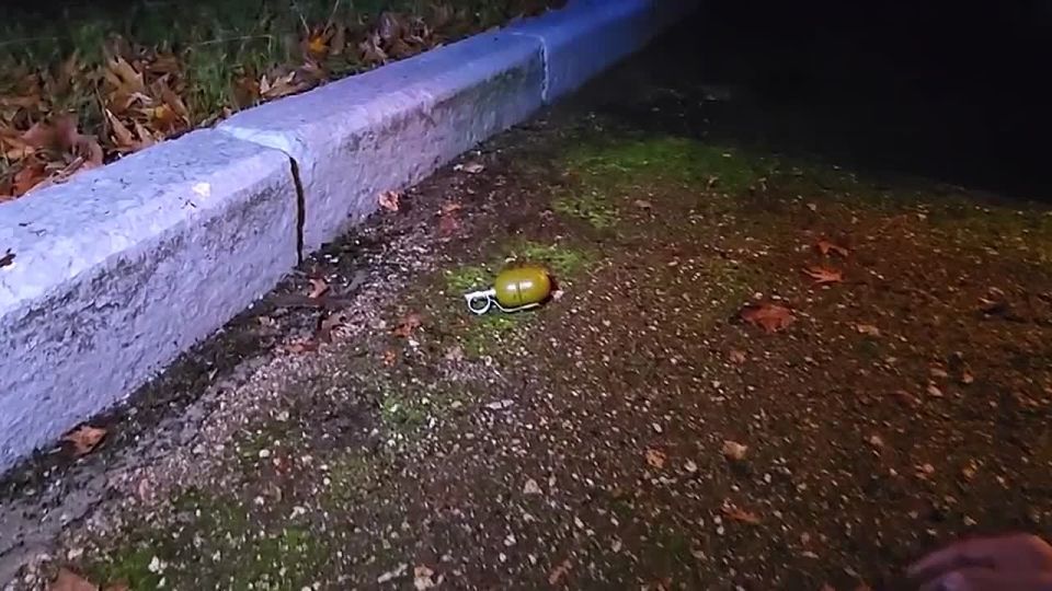 Агент Киева пытался взорвать одного из старших офицеров Минобороны в Крыму