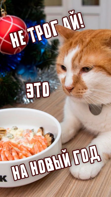 ��� ������: �������� ��������� �������� ����