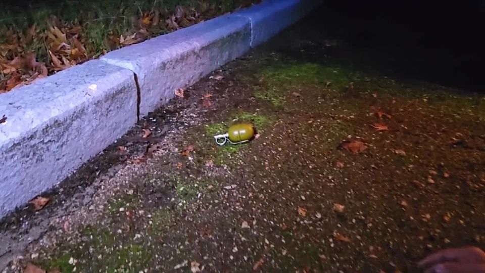 Никита Васильев: Федеральной службой безопасности предотвращён теракт ГУР Украины на территории Республики Крым