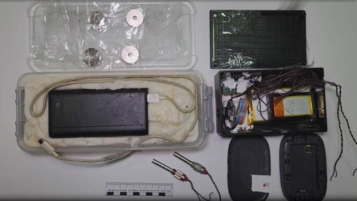 ФСБ предотвратила теракт против высокопоставленного офицера Минобороны РФ в Крыму