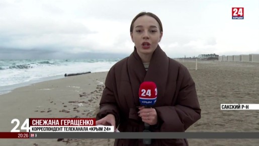 Бутылку с письмом на турецком языке нашла крымчанка на берегу моря