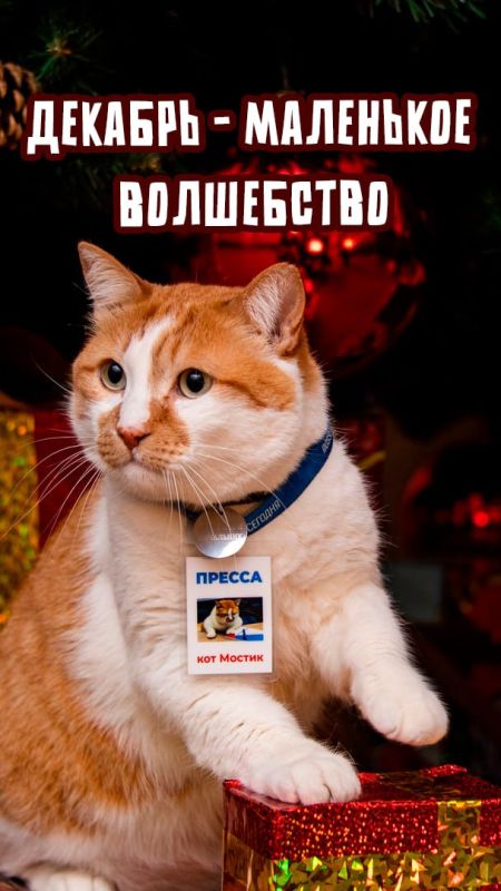 ��� ������: �������� ��������� �������� ����