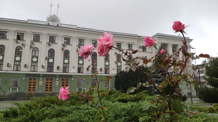 Не падал первый снег и розы зацвели: какие сюрпризы принесла погода 1 декабря в Крыму Не падал первый снег и розы зацвели: какие сюрпризы принесла погода 1 декабря в Крыму