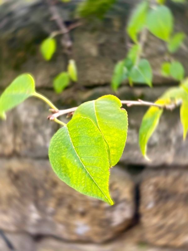 Иван Мезюхо: С первым днём зимы, друзья! Иван Мезюхо: С первым днём зимы, друзья!