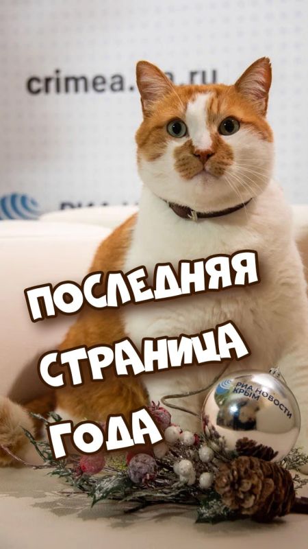 ��� ������: �������� ��������� �������� ����