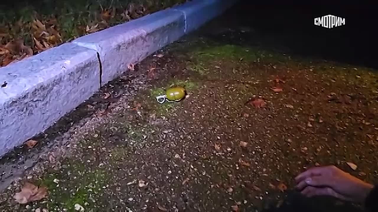 ФСБ показала кадры с места предотвращенного теракта в Крыму и задержание фигуранта