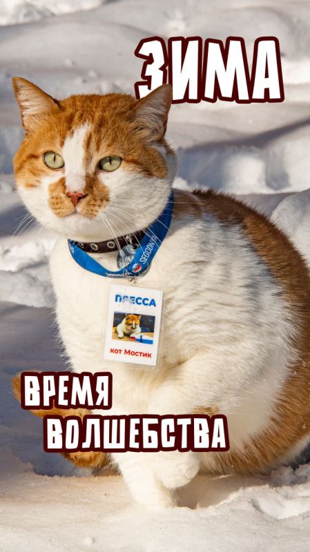 ��� ������: �������� ��������� �������� ����