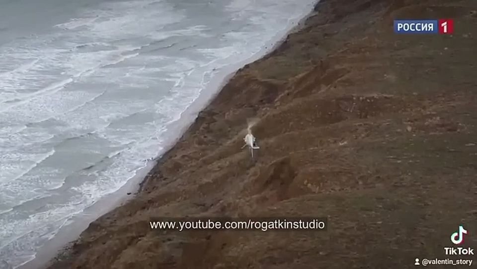 Александр Рогаткин: Турецкий беспилотник Байрактар впервые сбил самолет