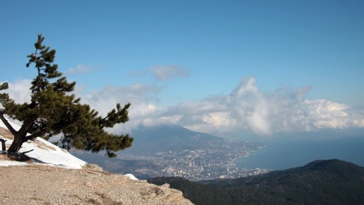 Не падал первый снег и розы зацвели: какие сюрпризы принесла погода 1 декабря в Крыму