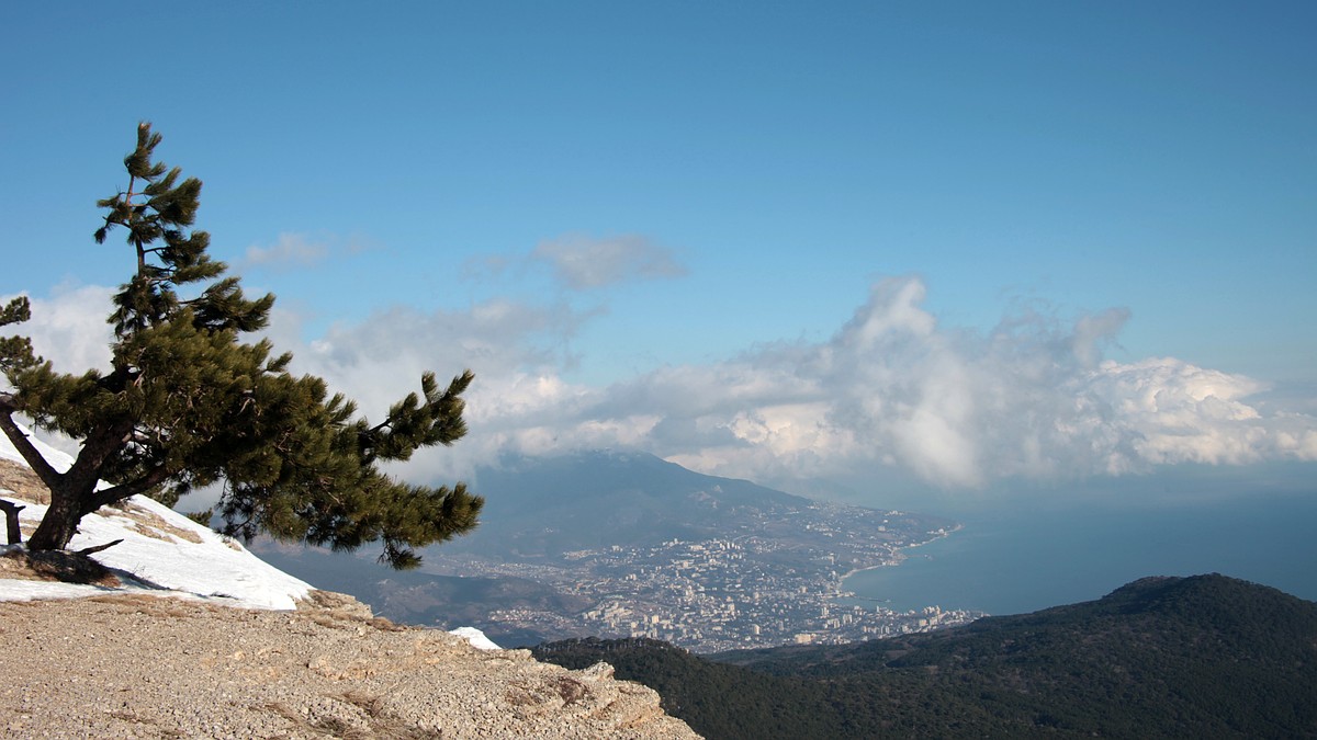 Не падал первый снег и розы зацвели: какие сюрпризы принесла погода 1 декабря в Крыму