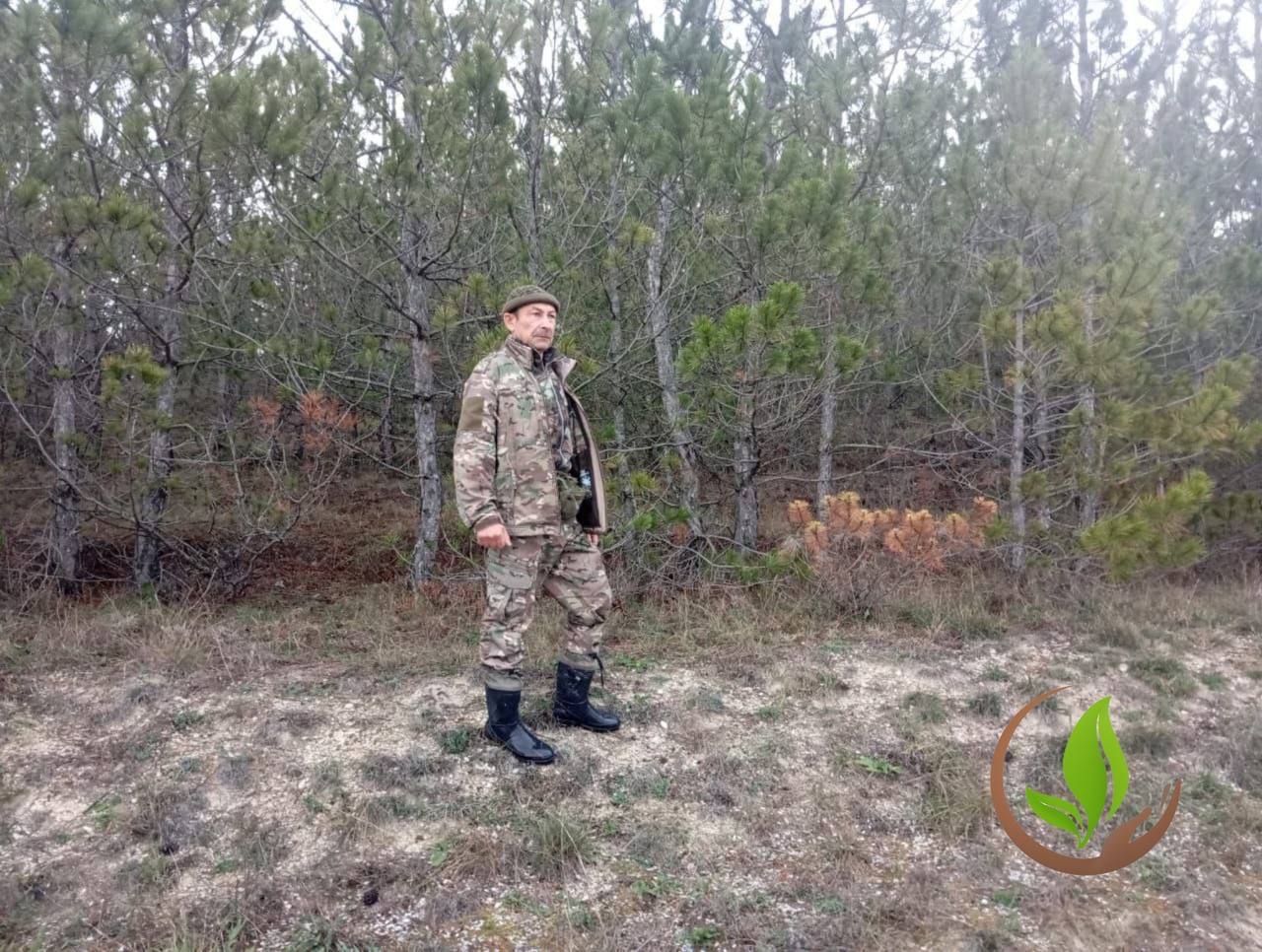 Не унеси лес на праздник. Знаете, что общего у новогодней ёлки из леса и уголовного дела? Не унеси лес на праздник. Знаете, что общего у новогодней ёлки из леса и уголовного дела?