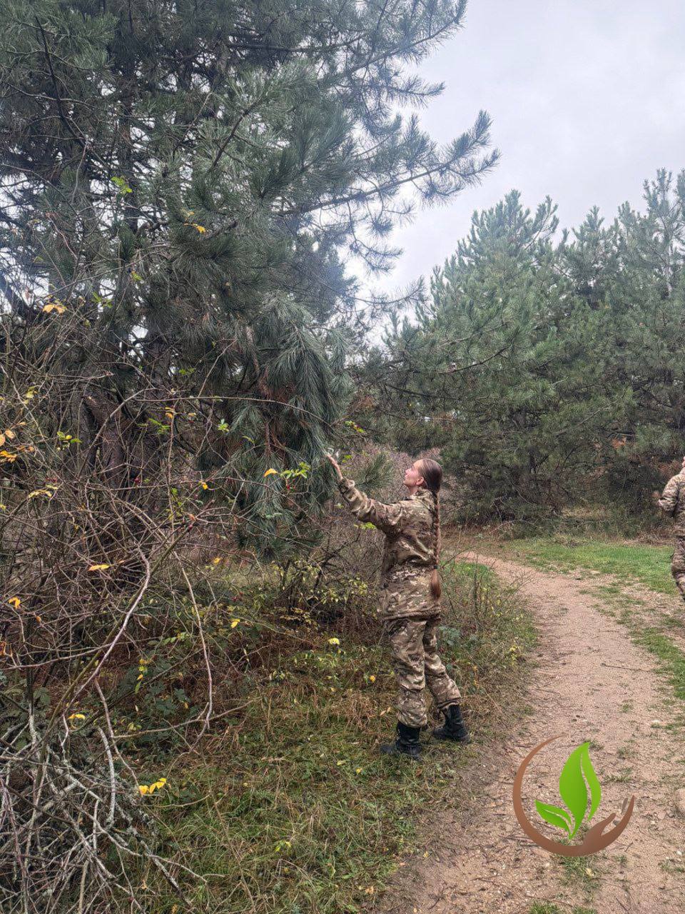 Минприроды Крыма предупреждает граждан о запрете рубки хвойных насаждений в предновогодний период Минприроды Крыма предупреждает граждан о запрете рубки хвойных насаждений в предновогодний период