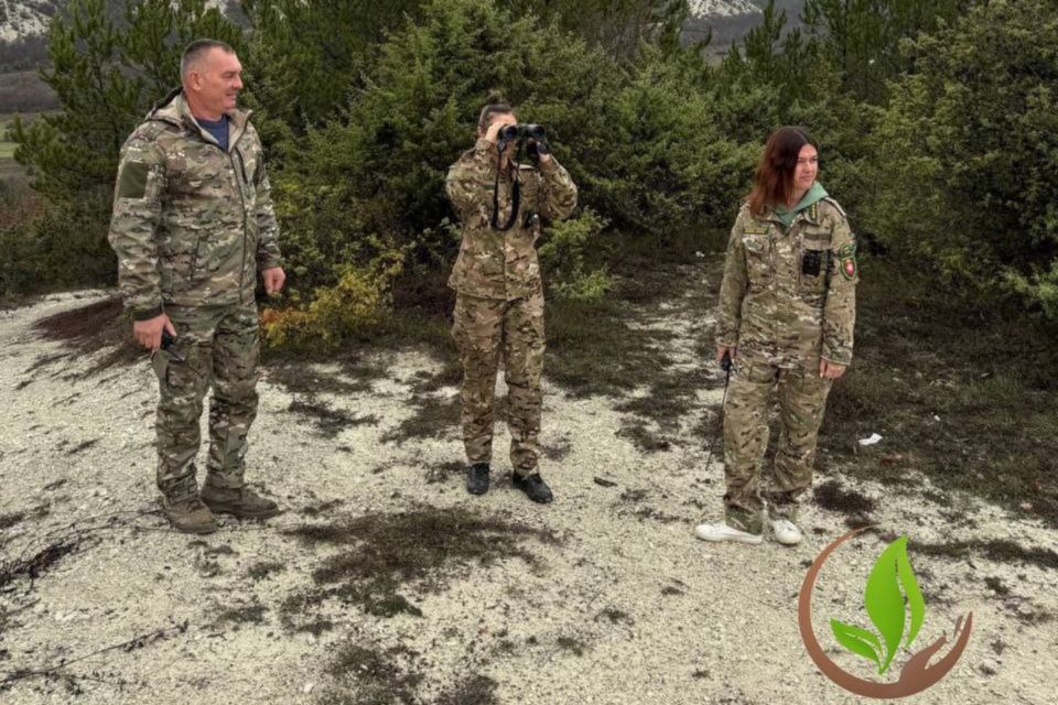 ���������� ����� ������������� ������� � ������� ����� ������� ���������� � �������������� ������