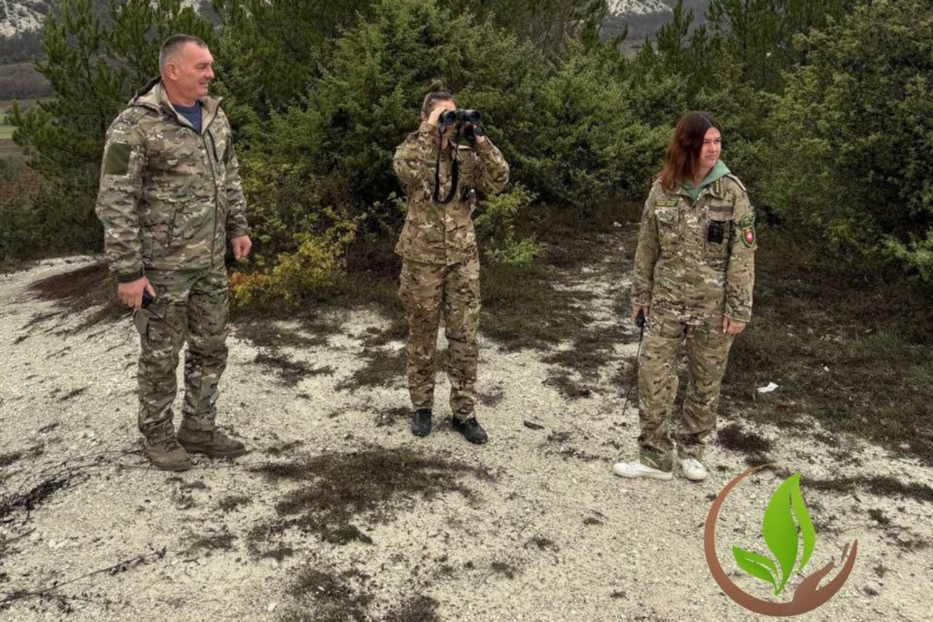 Минприроды Крыма предупреждает граждан о запрете рубки хвойных насаждений в предновогодний период