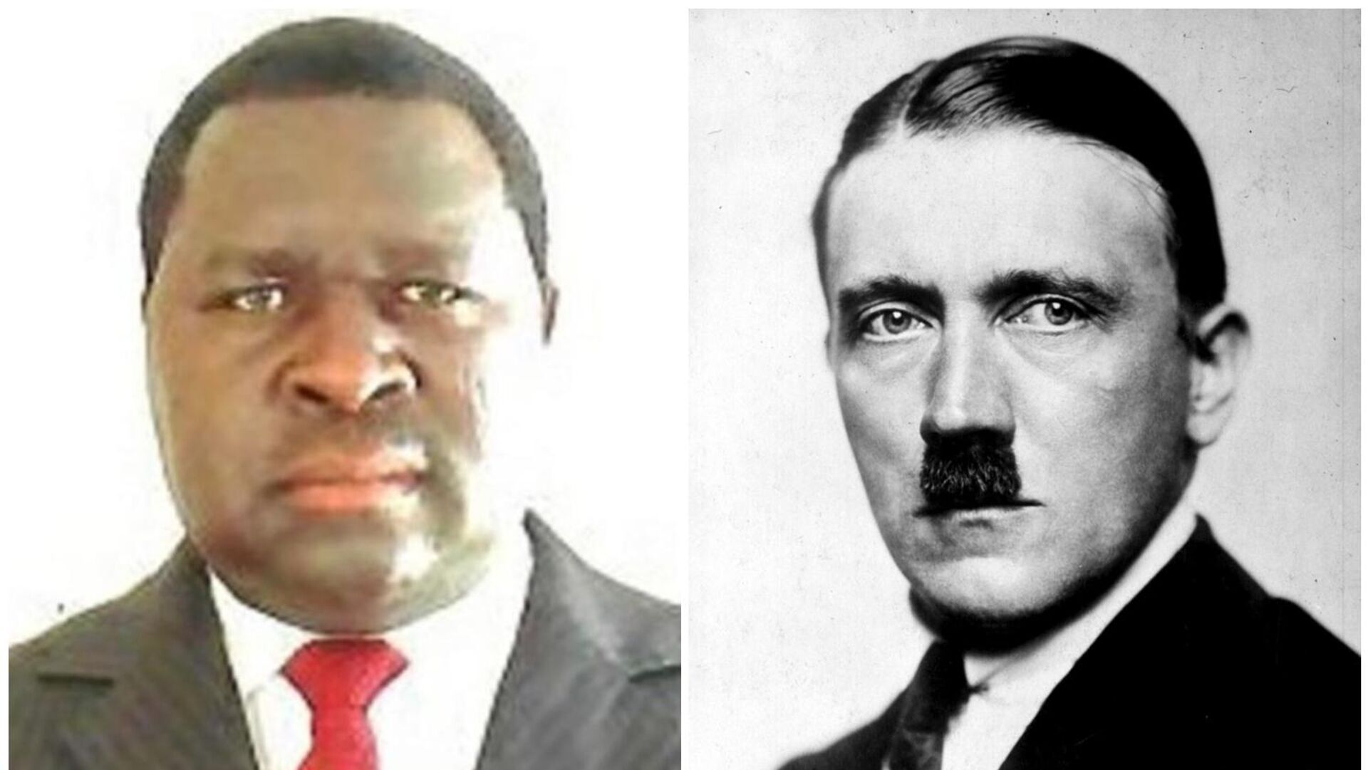 Добровольный капут. Еще одним Гитлером стало меньше