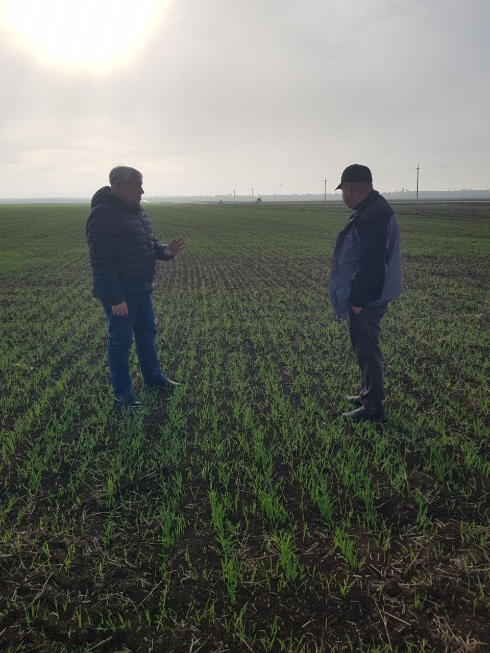 Сотрудники администрации продолжают рабочие выезды по оценке состояния озимых культур