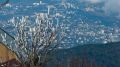 Ночью температура воздуха опустится до нуля: погода в Крыму во вторник
