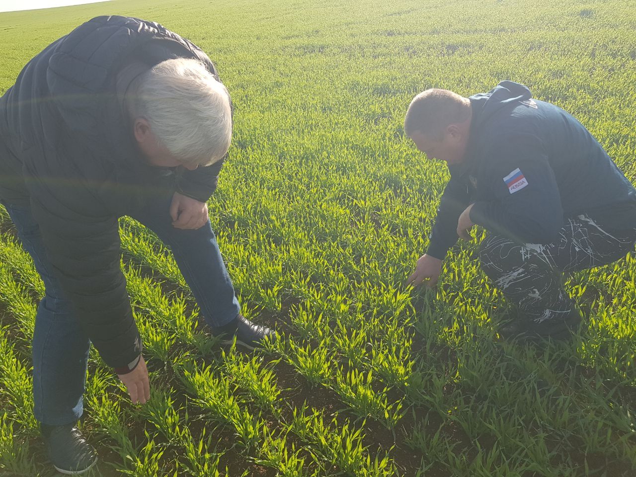 Сотрудники администрации продолжают рабочие выезды по оценке состояния озимых культур Сотрудники администрации продолжают рабочие выезды по оценке состояния озимых культур