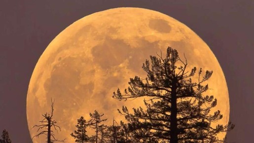 Ночь сверхъяркой Луны: когда в Крыму можно наблюдать суперлуние