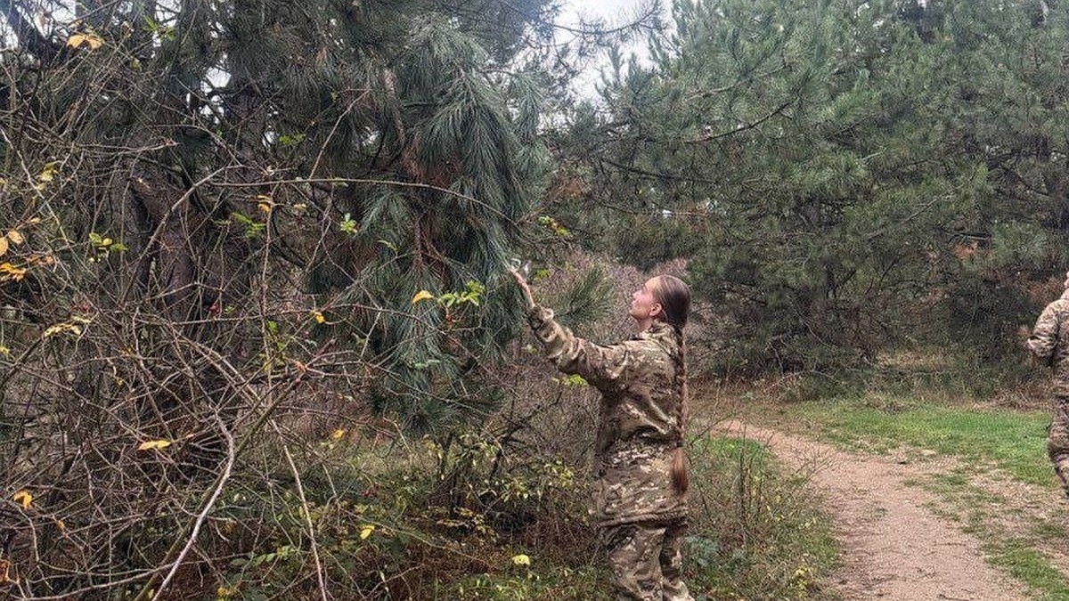 В Минприроды анонсировали усиление патрулирования лесов в Крыму