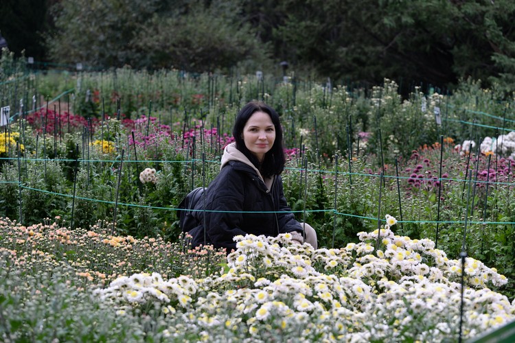 «Фламинго» стал королевой: в Крыму назвали самый красивый цветок «Бала хризантем» 2025 «Фламинго» стал королевой: в Крыму назвали самый красивый цветок «Бала хризантем» 2025